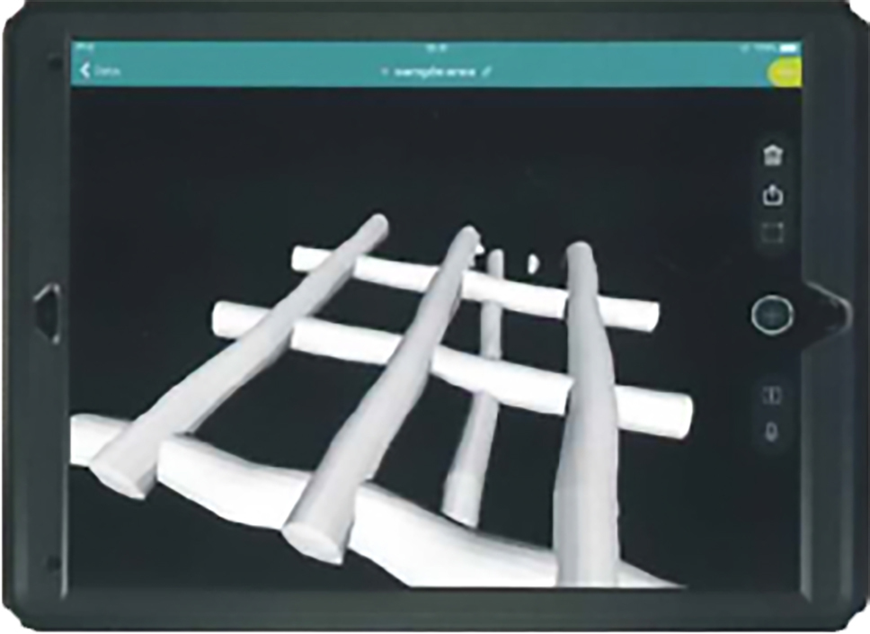 エリアスキャン　3D表示
